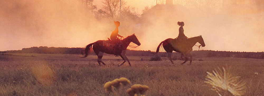 Do you offer tourism related or other activities?  Promote your business to potential customers in your service area when you choose the Premium option or in your own locality if choosing the Free option.